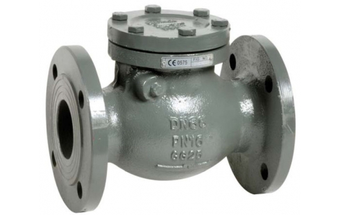 Swing check valve